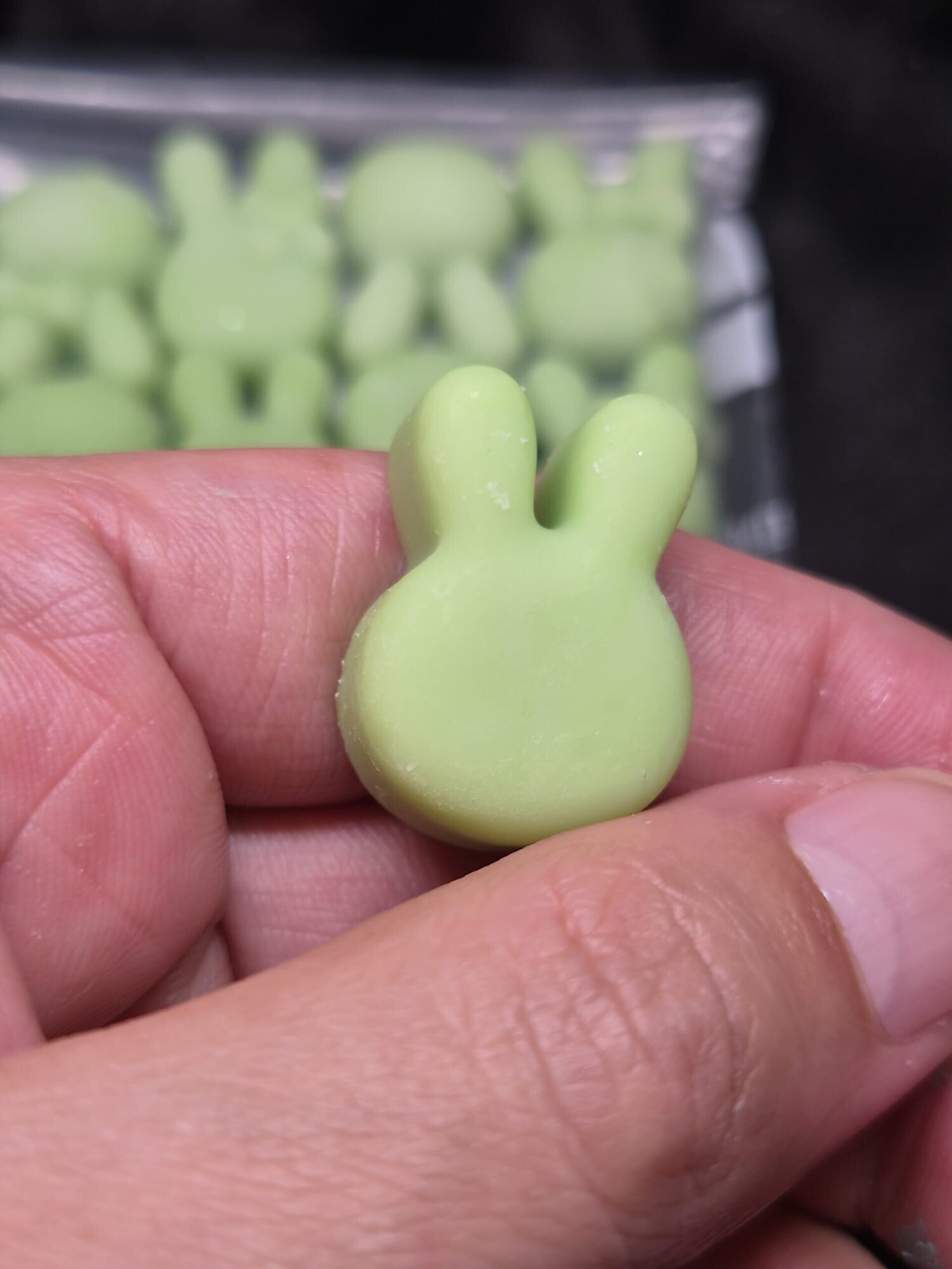 Wax melts Hierbabuena - 5