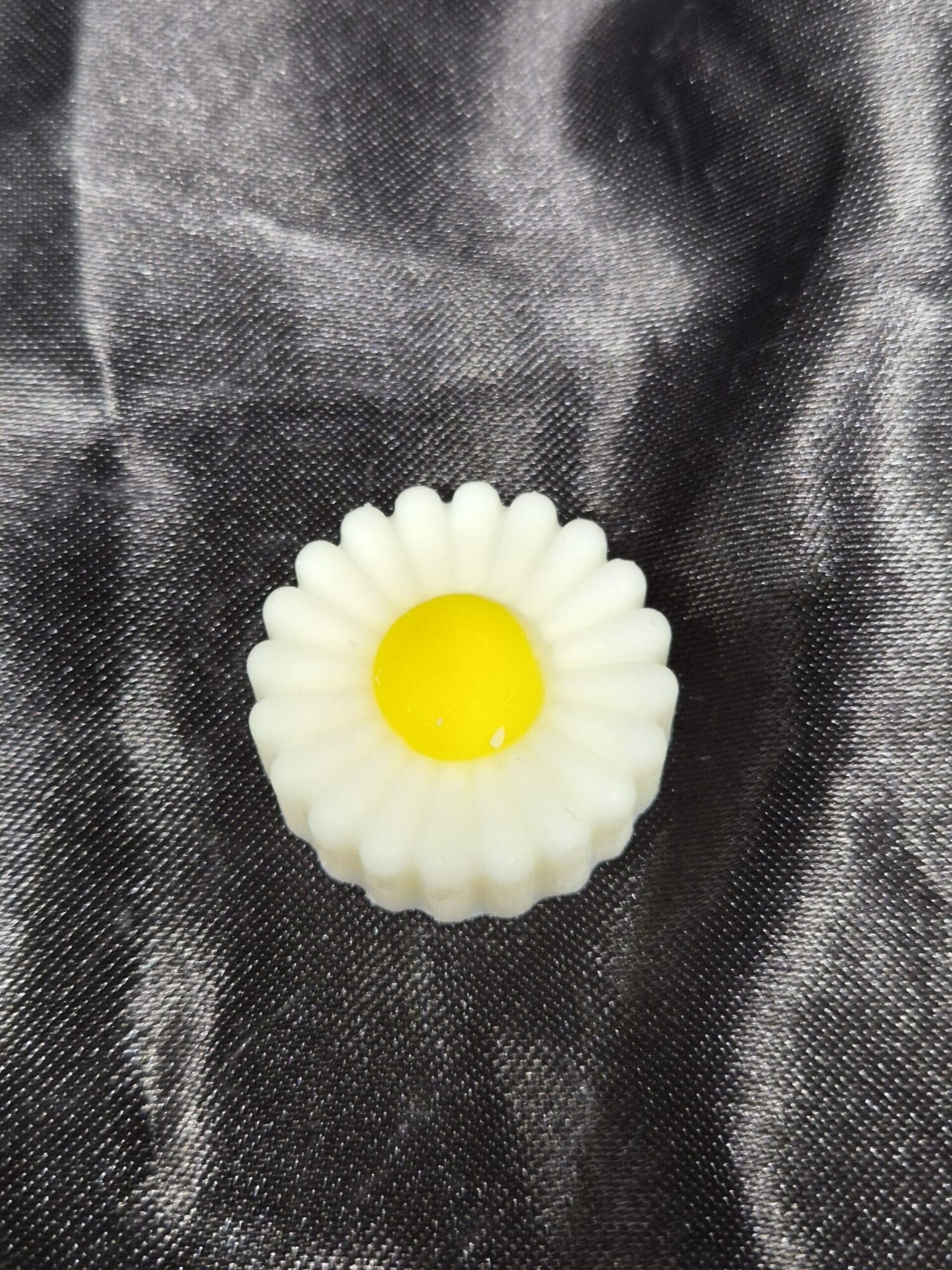 Wax melts Manzanilla - 5