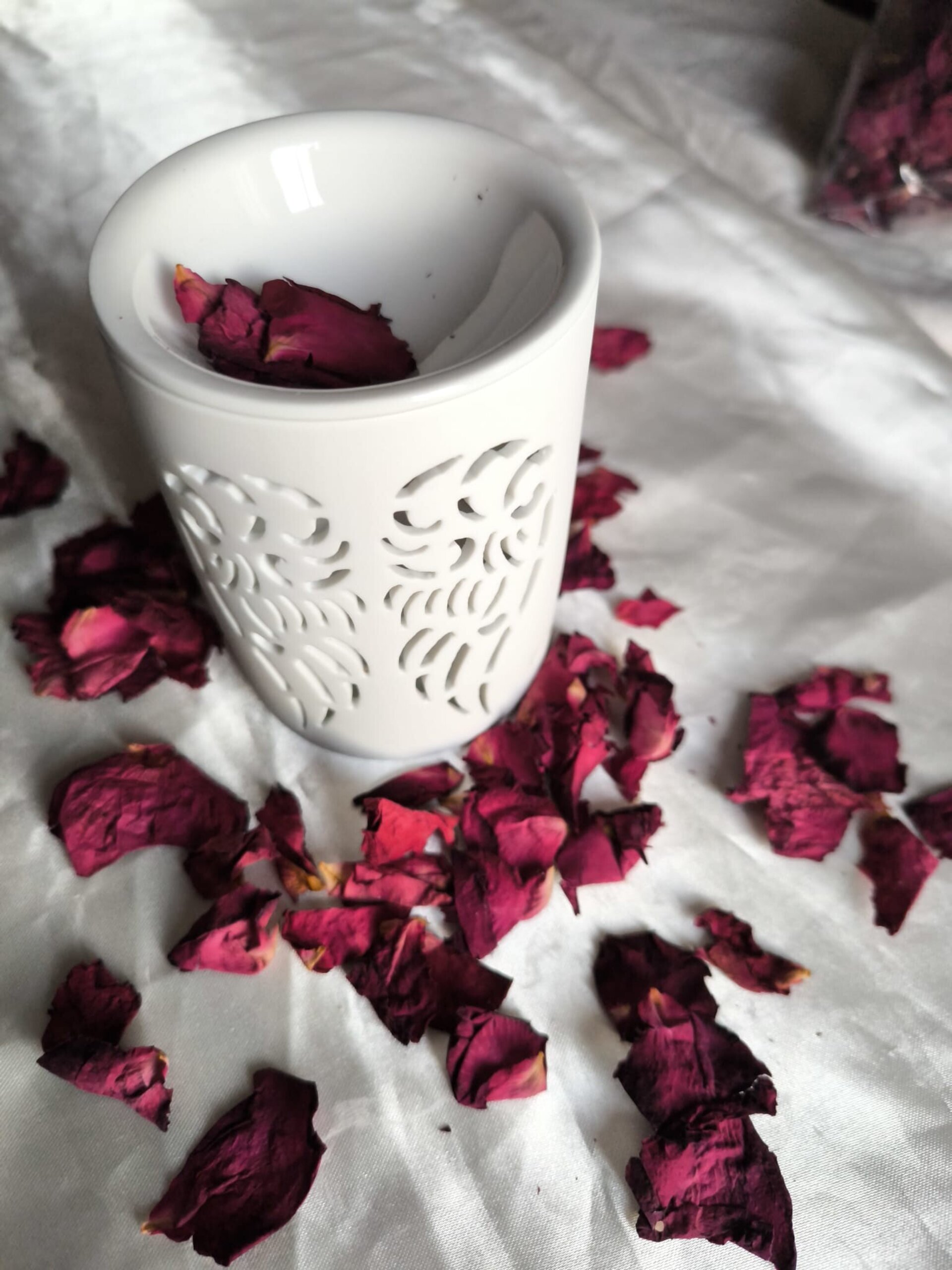 Quemador Angel de Luz - 4