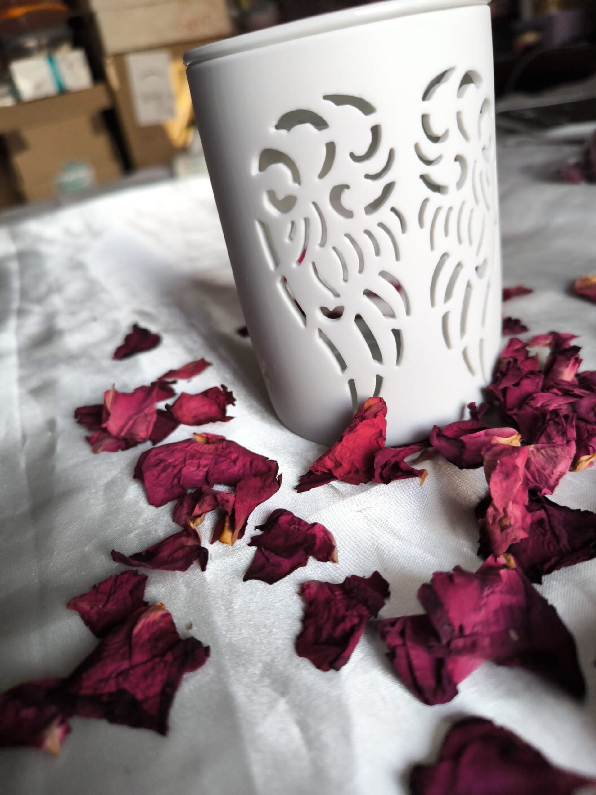 Quemador Angel de Luz - 5