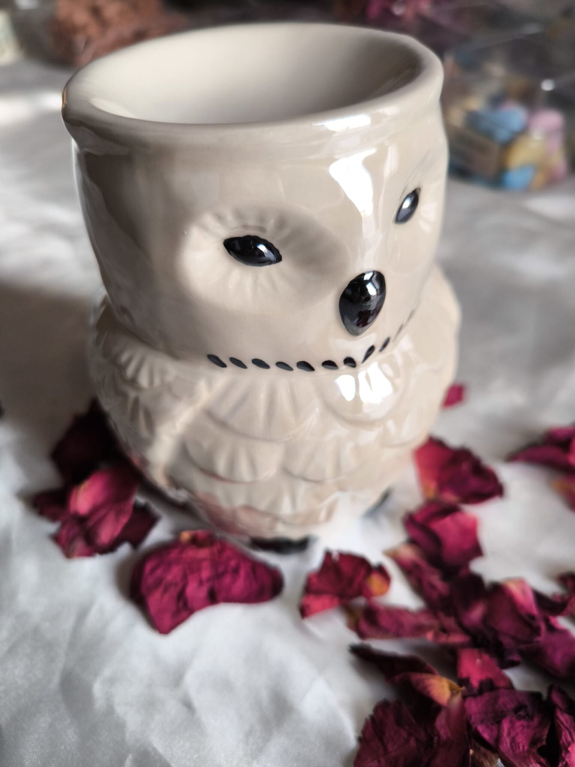 Quemador Hedwig Iridiscente - 3