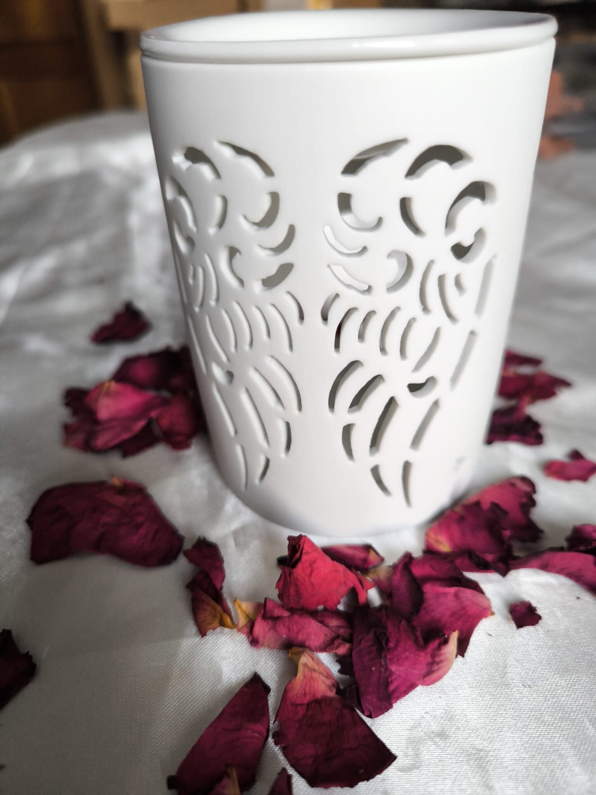 Quemador Angel de Luz - 1