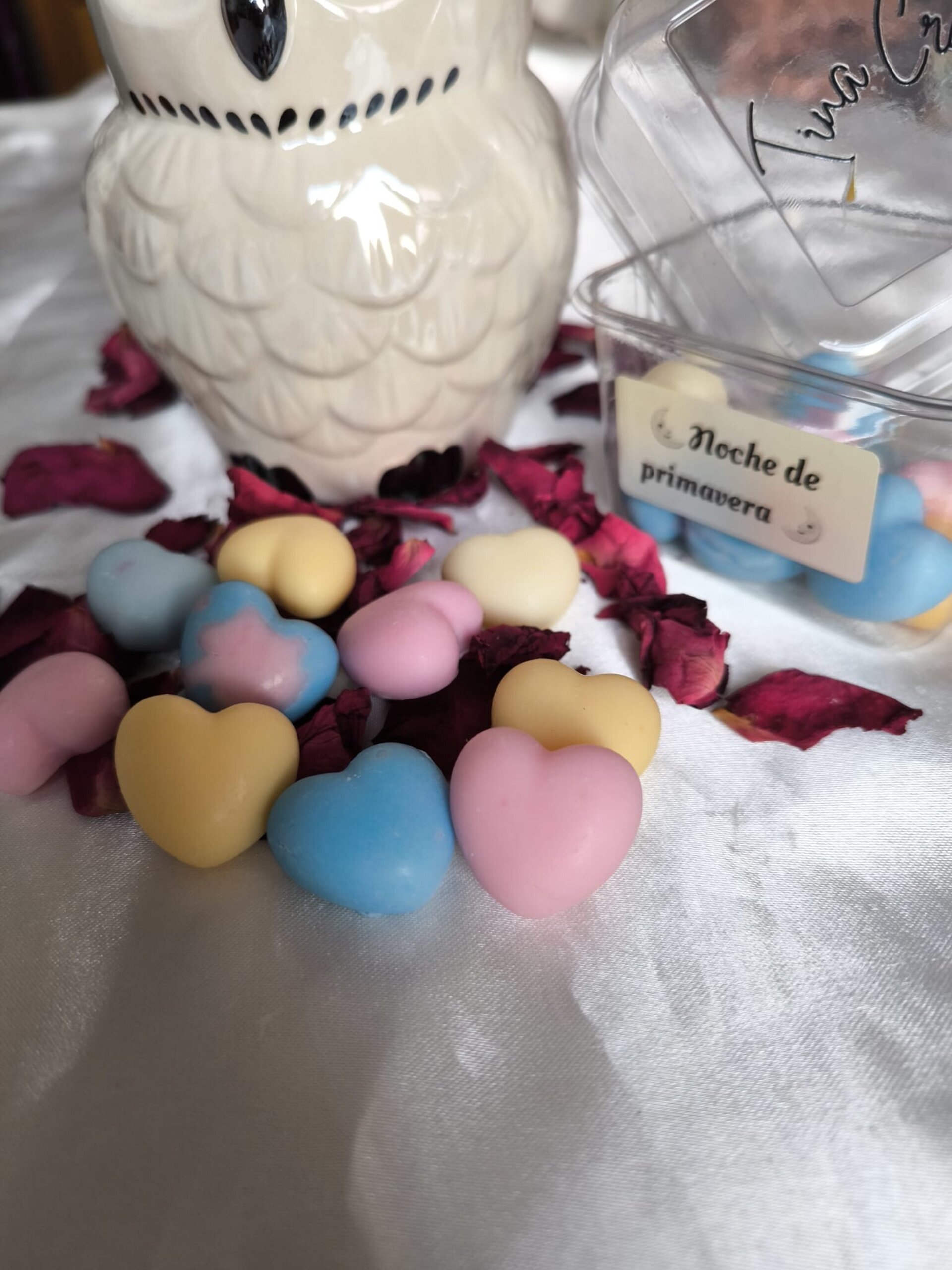 Wax Melts Noche de Primavera - 2