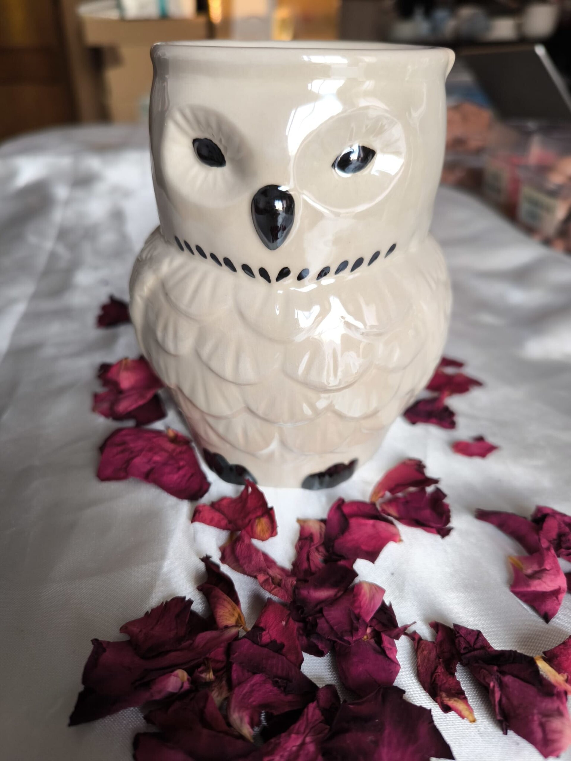 Quemador Hedwig Iridiscente - 4