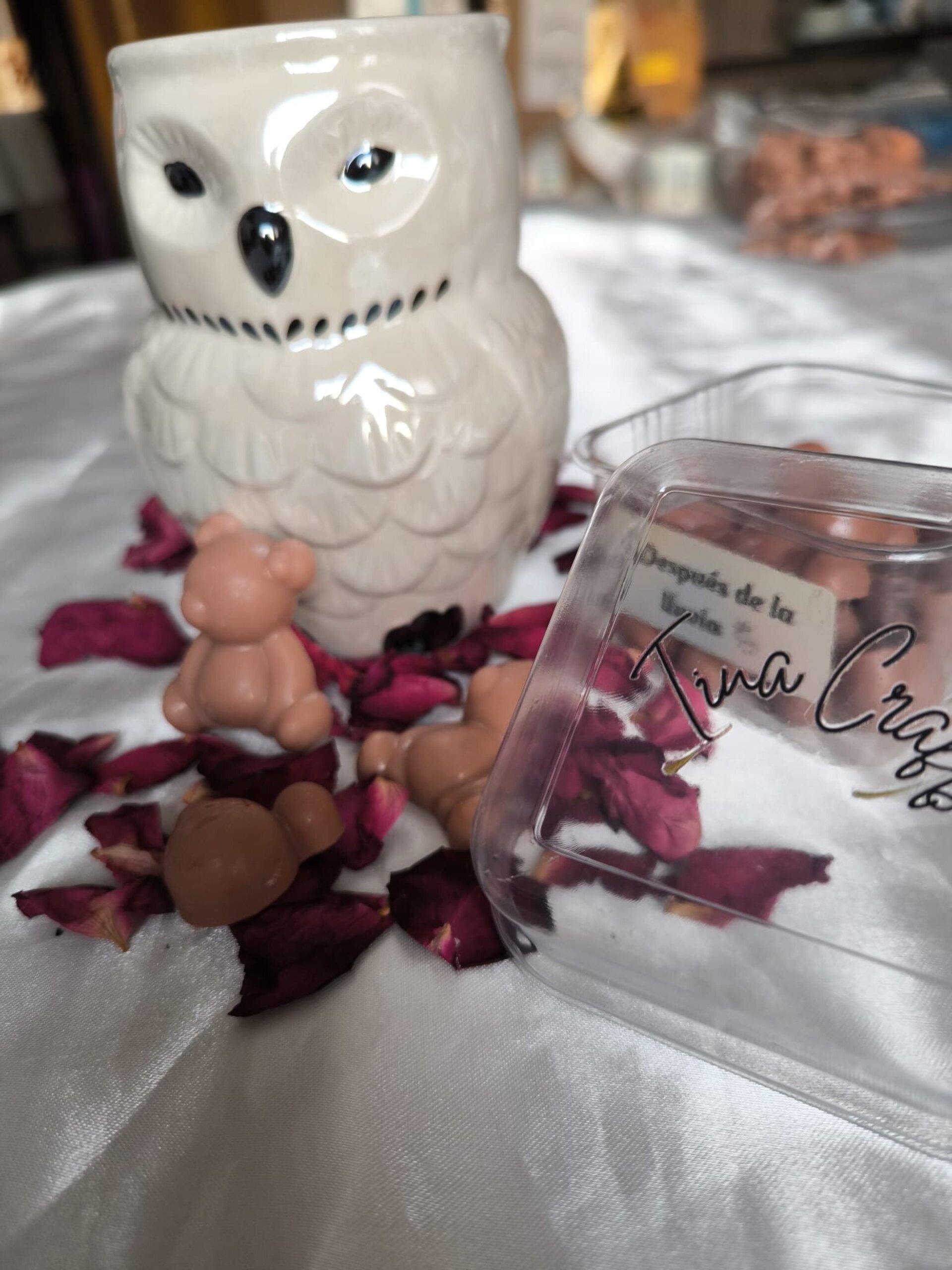 Wax Melts Después de la lluvia - 1