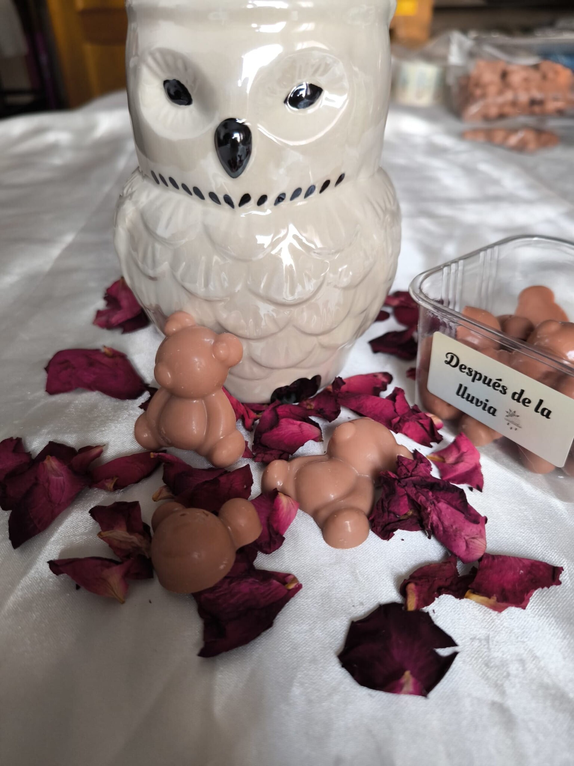 Wax Melts Después de la lluvia - 3