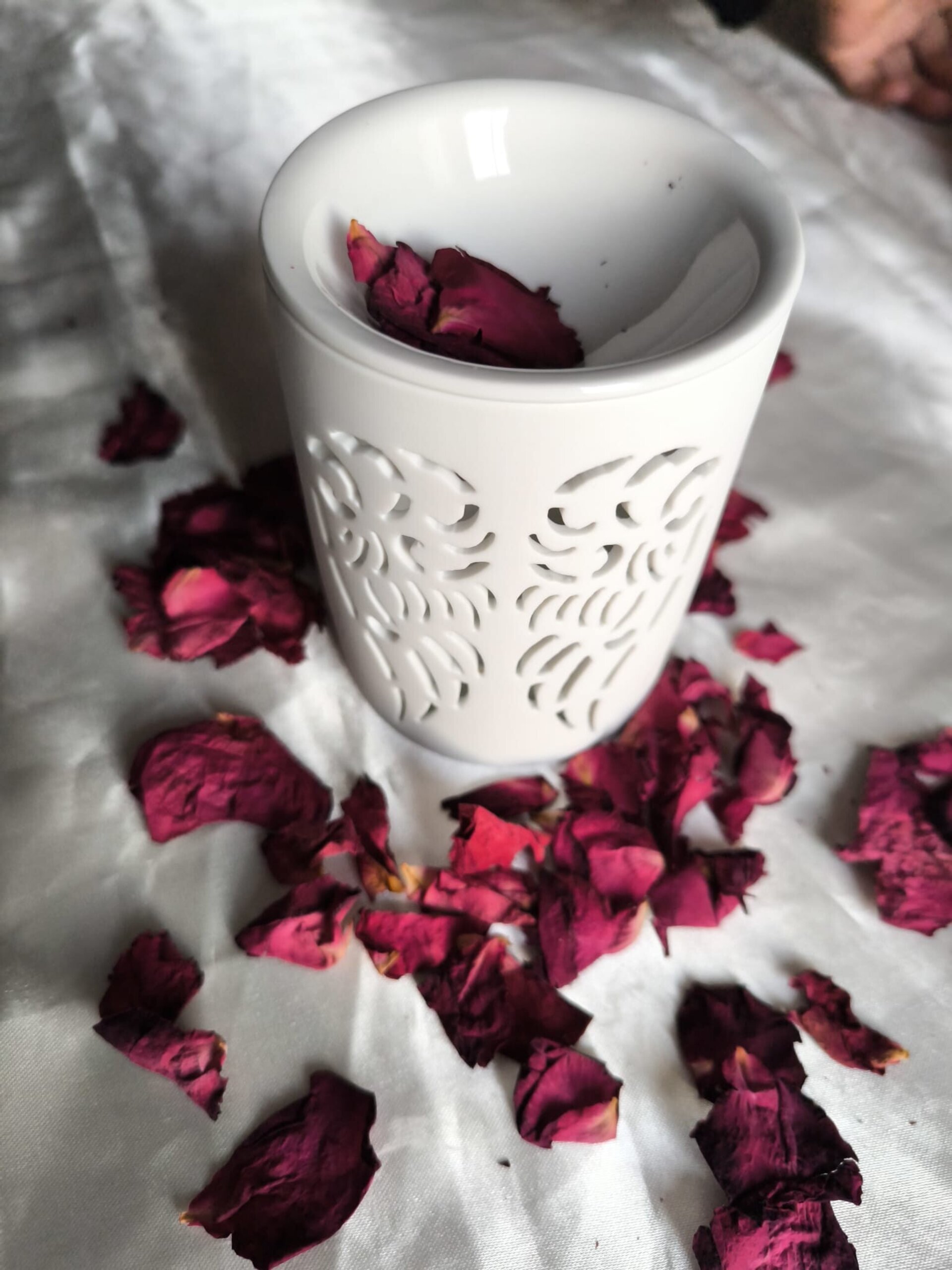 Quemador Angel de Luz - 2