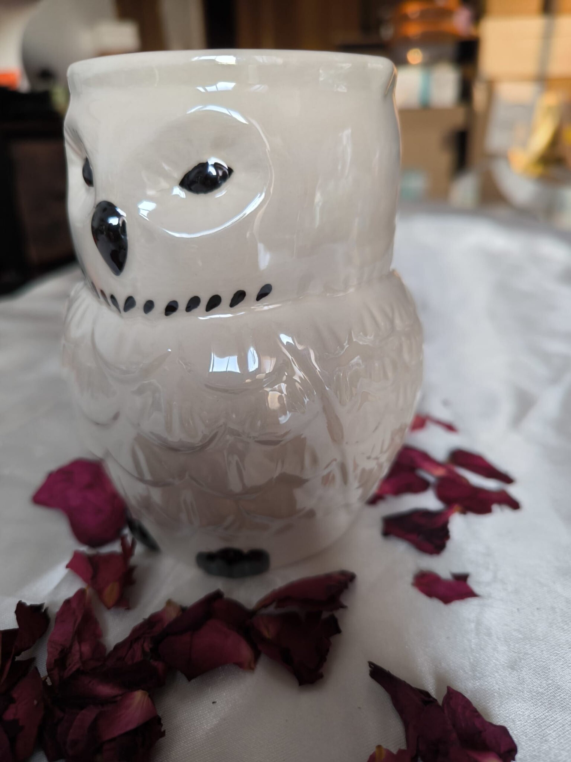 Quemador Hedwig Iridiscente - 2