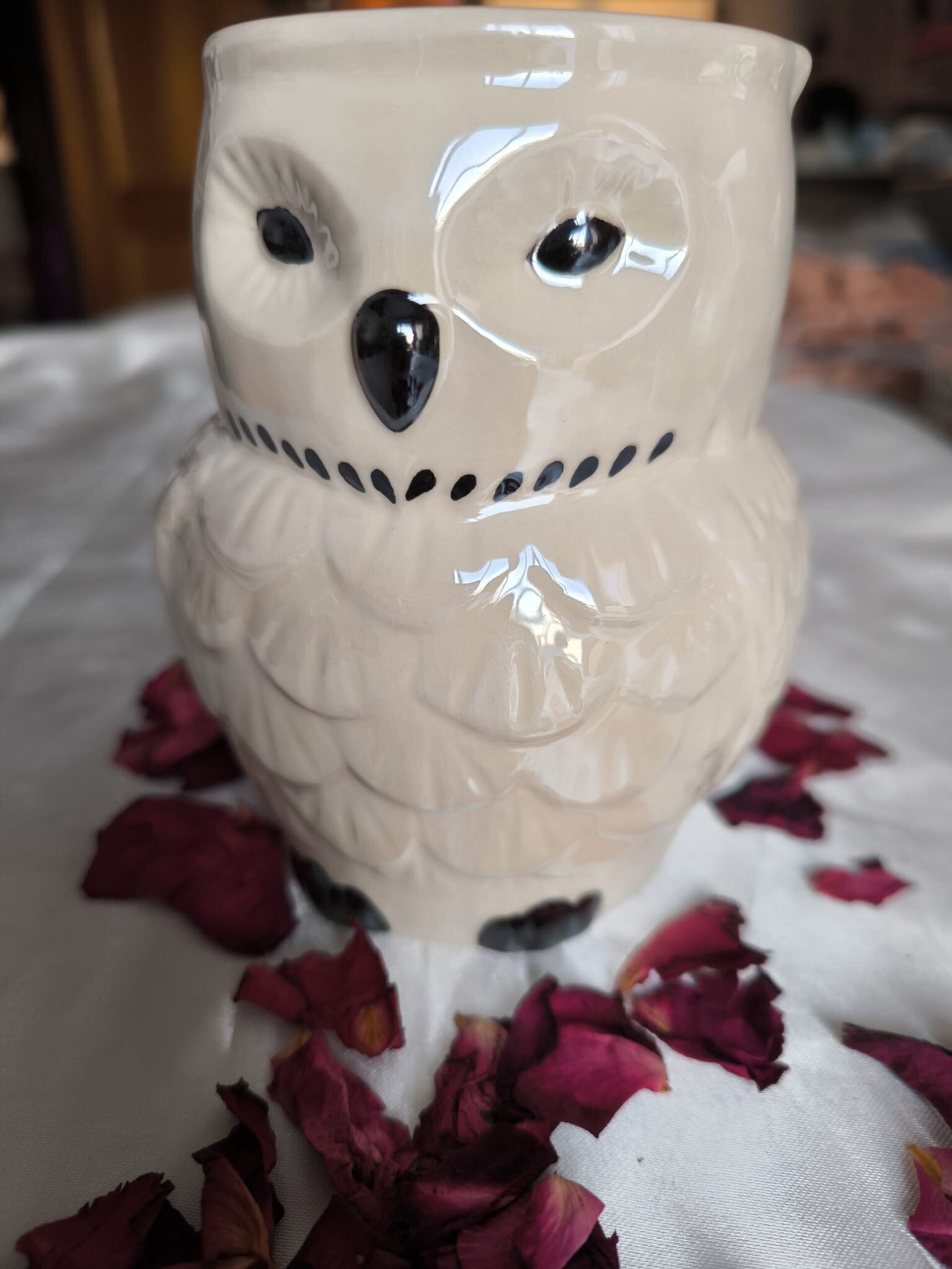 Quemador Hedwig Iridiscente - 1