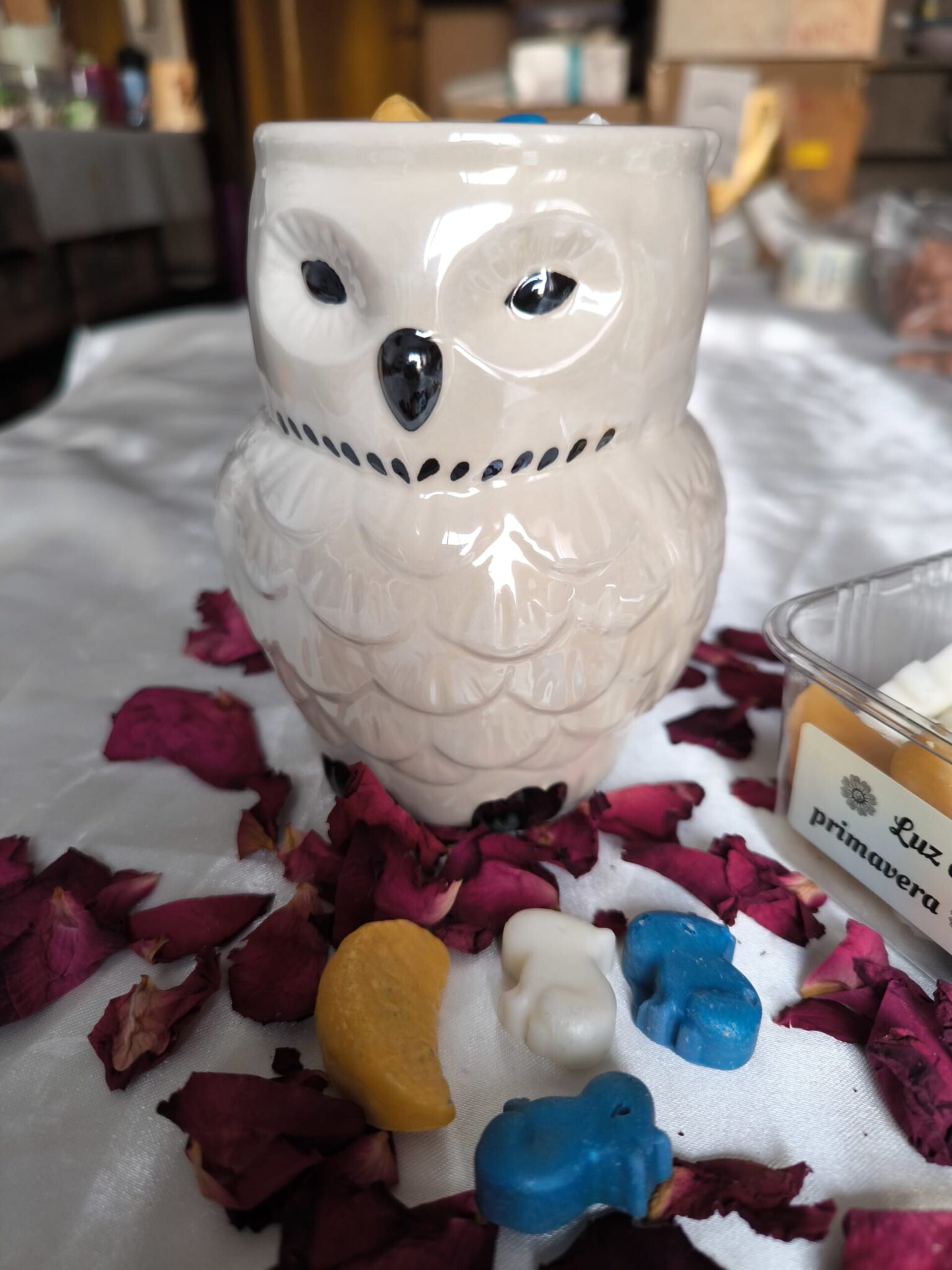 Wax melts Luz de Primavera - 5