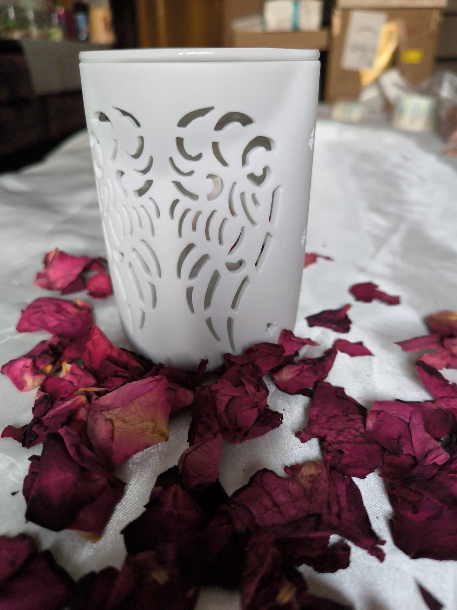 Quemador Angel de Luz - 3