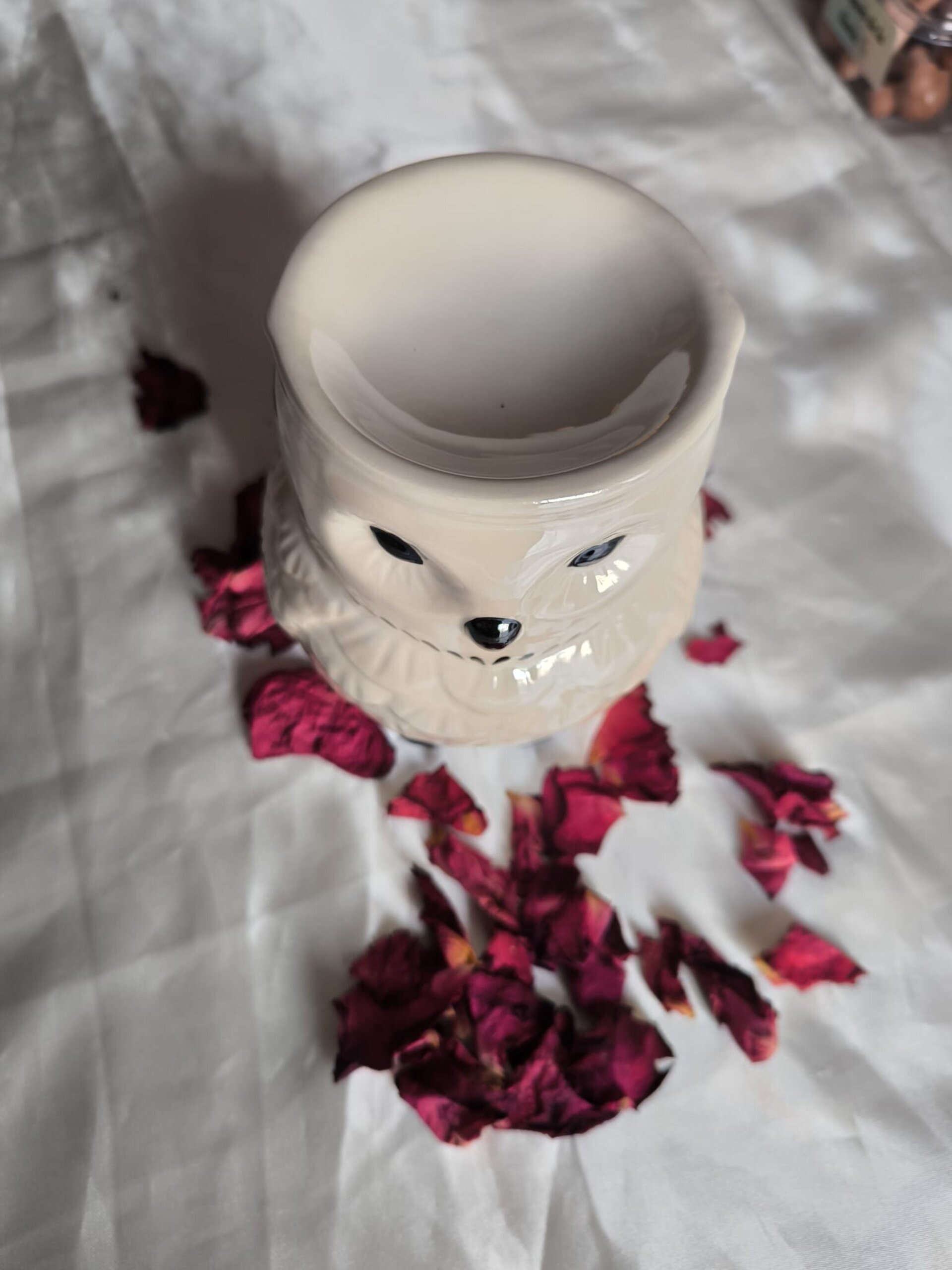 Quemador Hedwig Iridiscente - 5