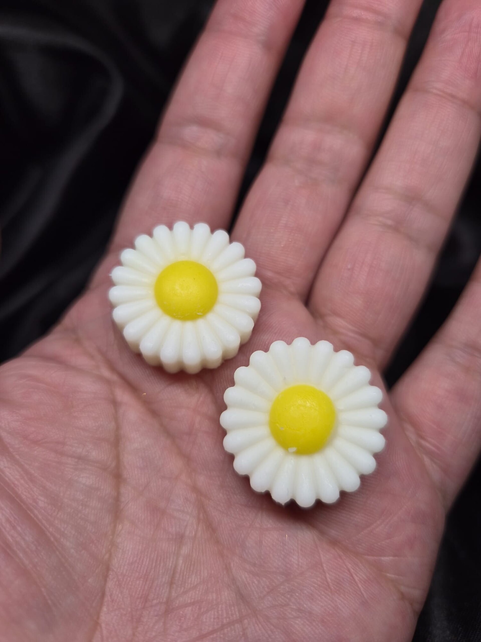 Wax melts Manzanilla - 3