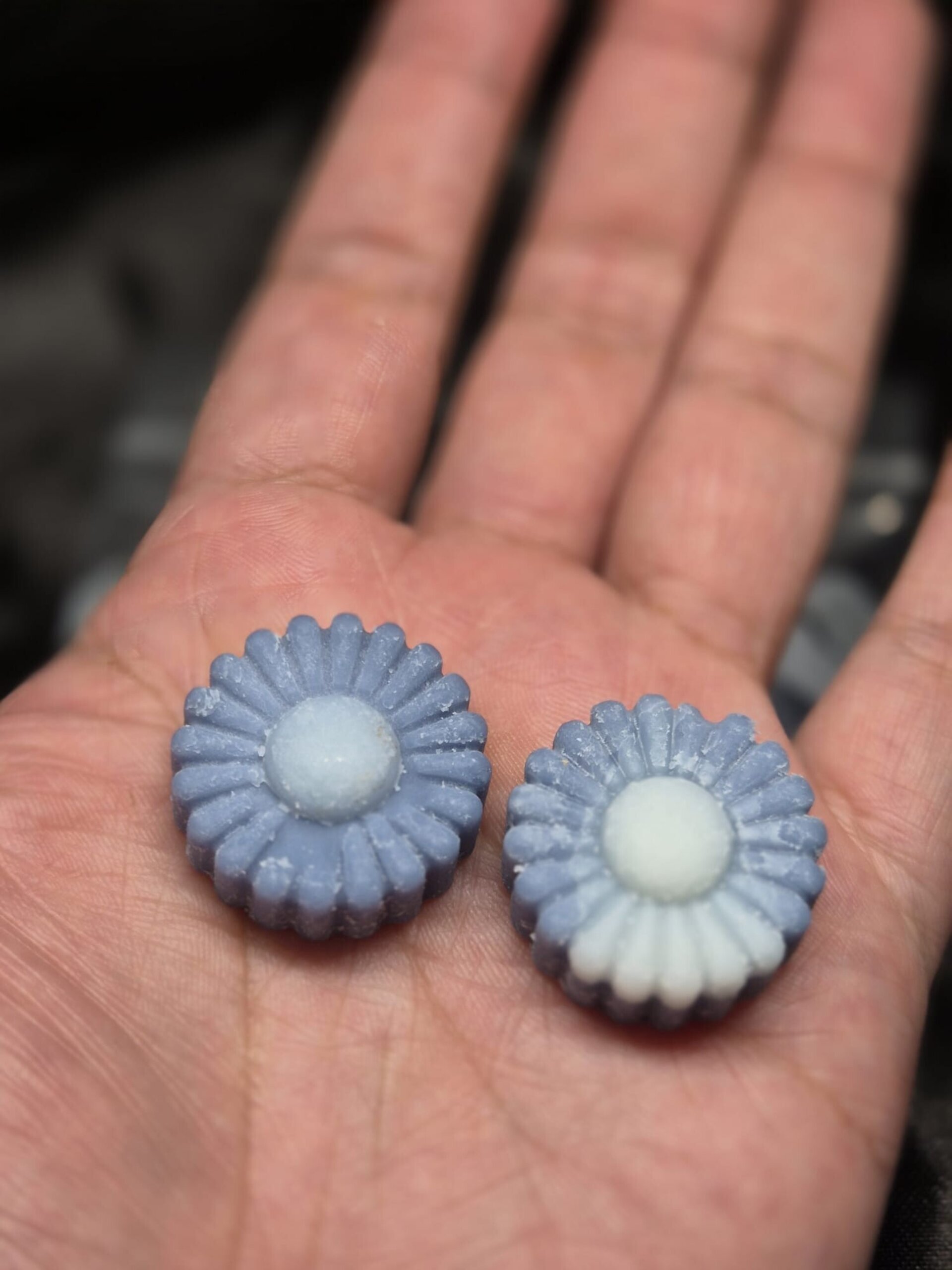 Wax melts Galán de Noche - 5