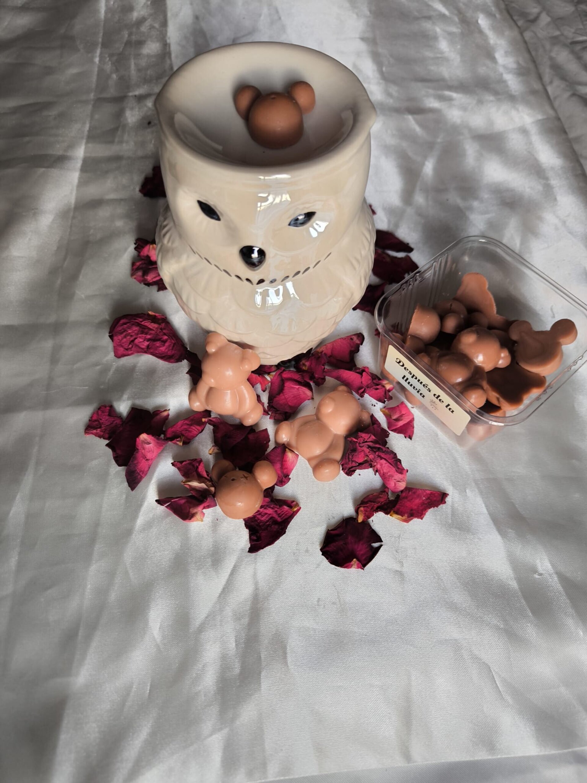 Wax Melts Después de la lluvia - 5