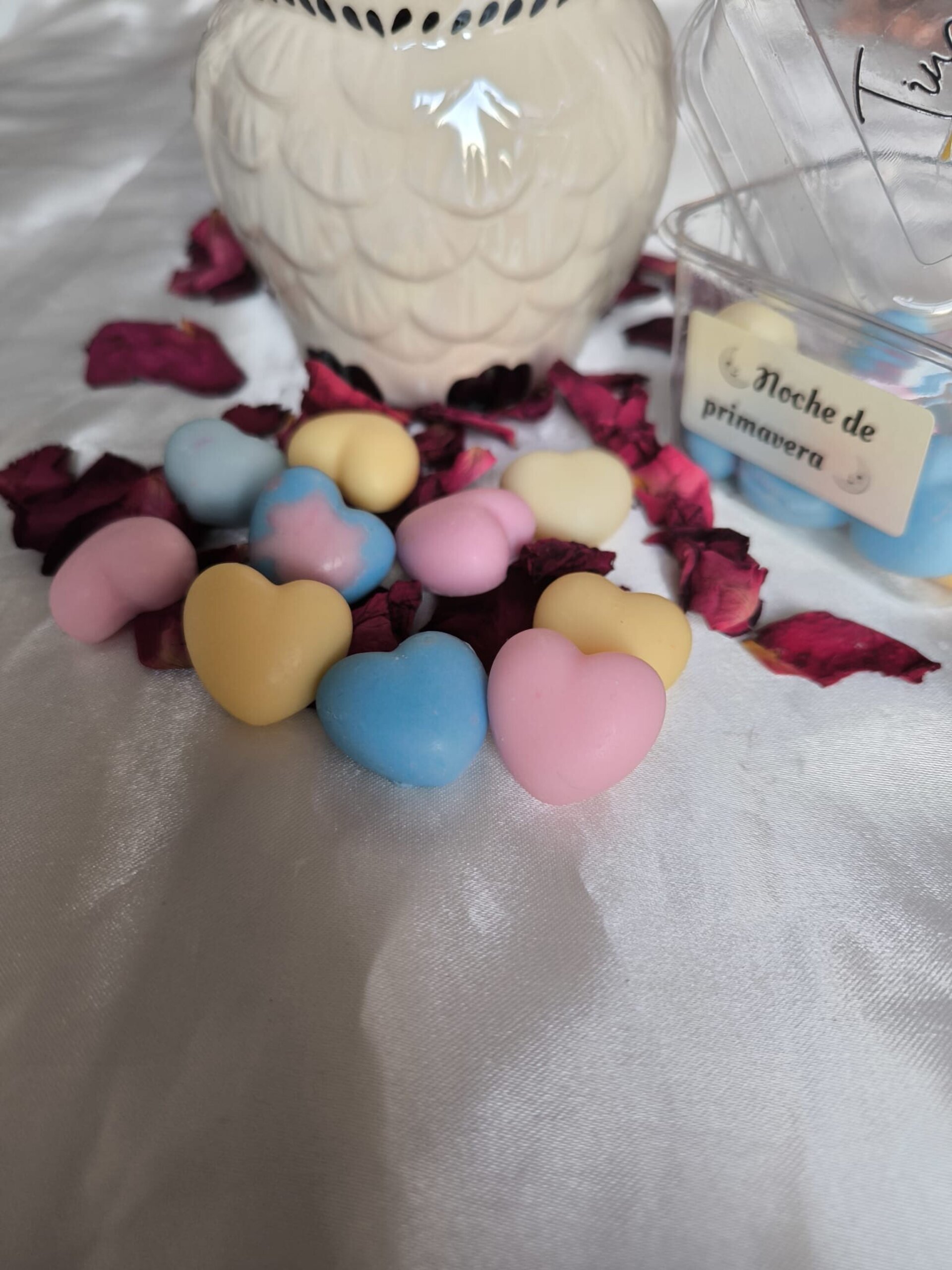 Wax Melts Noche de Primavera - 1